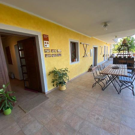 Med Oljkami Apartment Koper Luaran gambar