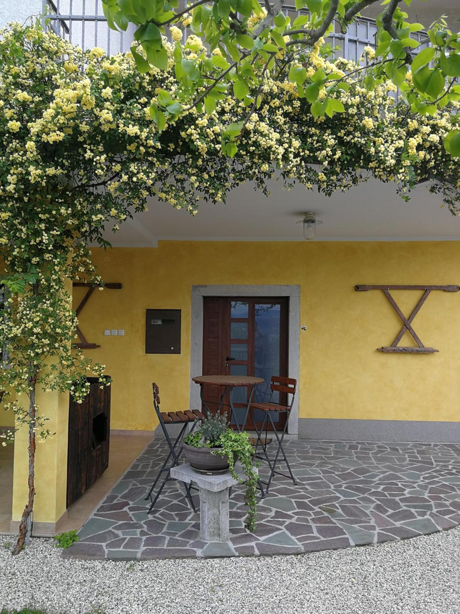 Med Oljkami Apartment Koper Luaran gambar