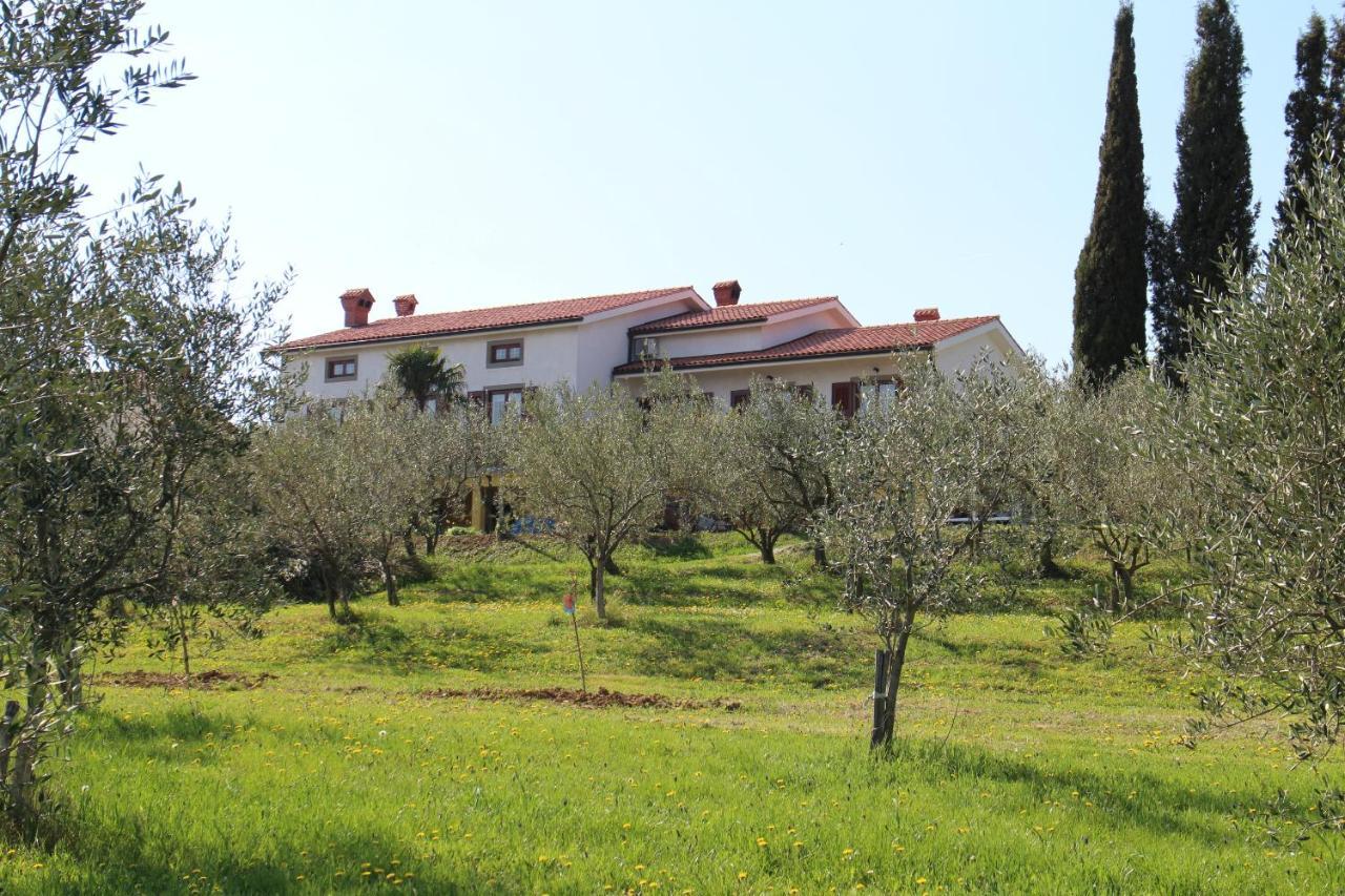 Med Oljkami Apartment Koper Luaran gambar